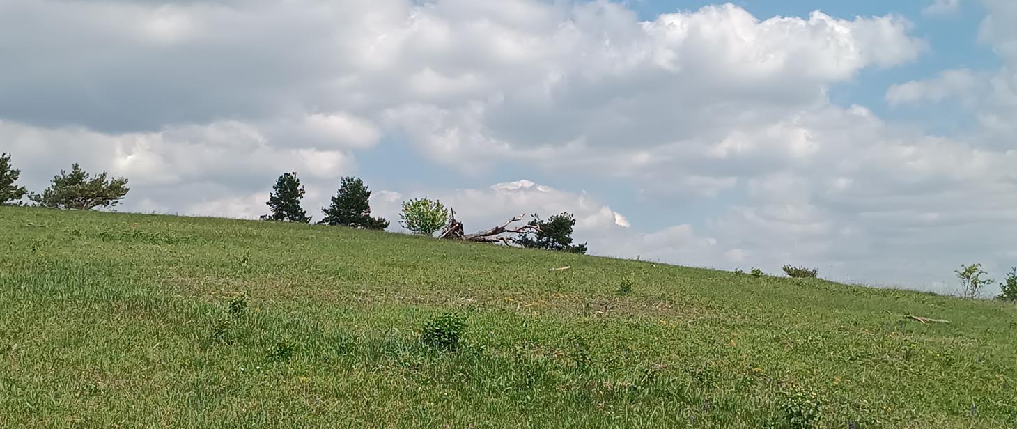 Rezerwat przyrody „Panieńska Górka” - konsultacje społeczne
