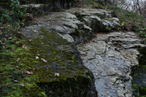Płytowa budowa skał dolomitowych południowego zbocza wąwozu