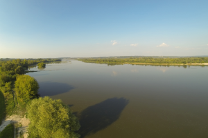 Widok na wisłę na p&oacute;łnocnym skraju rezerwatu